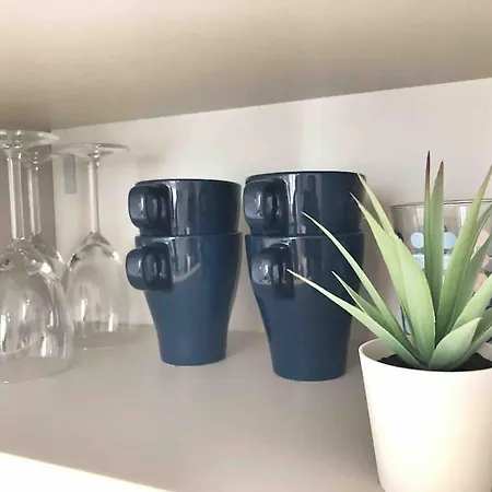 Homelivia, Votre Ideal Pour Decouvrir 니스